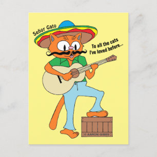 Cartoonsnorharige kat humoristisch Cinco De Mayo Briefkaart