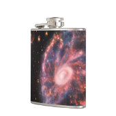 Cartwheel Galaxy JWST James Webb Space Telescope Heupfles (Links)