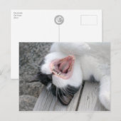 Carulmare Cat Yawn CC0379 Briefkaart (Voorkant / Achterkant)