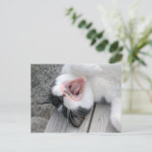 Carulmare Cat Yawn CC0379 Briefkaart (Staand voorkant)