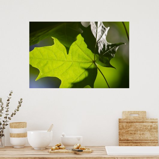 Carulmare Maple Leaf CC0041 Poster (Keuken)