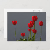 Carulmare Red Tulips CC0032 Briefkaart (Voorkant / Achterkant)