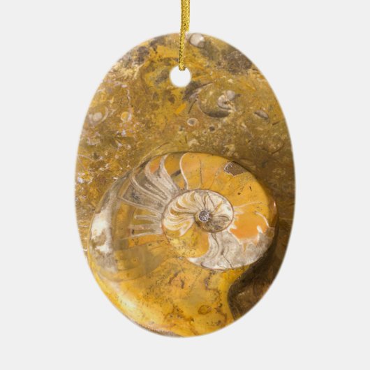 Carved Bowl Made of Fossils in Rock Closeup Photo Keramisch Ornament (Voorkant)