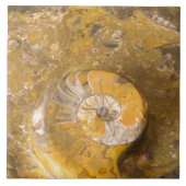 Carved Bowl Made of Fossils in Rock Closeup Photo Tegeltje (Voorkant)