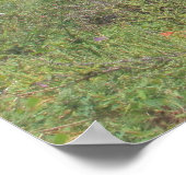 Carvoeiro Poster (Hoek)