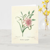 Caryophyllus van Dianthus Kaart (Gele Bloem)