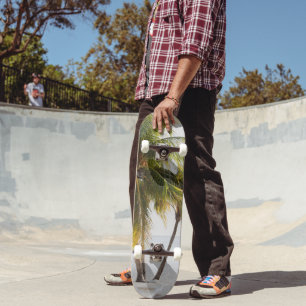 Cas Abao - Tropisch strand Ontsnapping #4 #oceaan Persoonlijk Skateboard