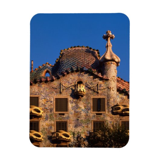 Casa Batilo, Gaudi-architectuur, Barcelona, Magneet (Verticaal)