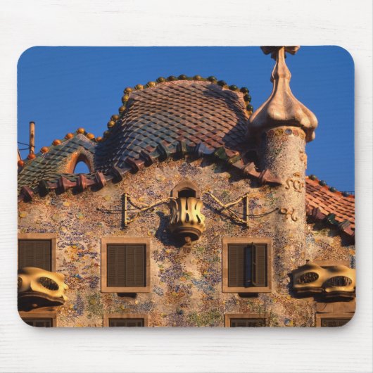 Casa Batilo, Gaudi-architectuur, Barcelona, Muismat (Voorkant)