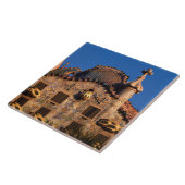 Casa Batilo, Gaudi-architectuur, Barcelona, Tegeltje (Zijkant)