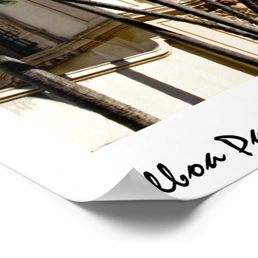 Casa del Prado Palms Poster (Hoek)