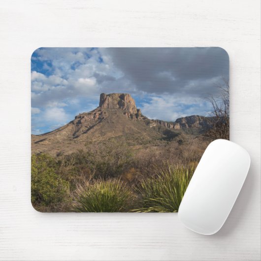 Casa Grande Peak, Chisos Basin, Big Bend Muismat (Met muis)