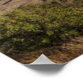 Casa Grande Peak, Chisos Basin, Big Bend Poster (Hoek)