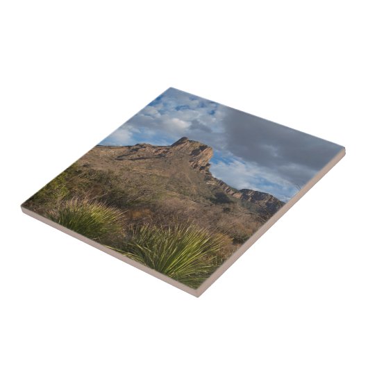 Casa Grande Peak, Chisos Basin, Big Bend Tegeltje (Zijkant)