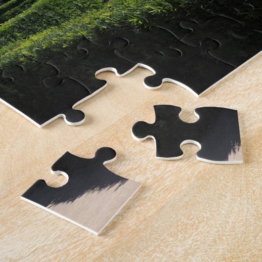 Casa Monica Hotel in St. Augustine, Florida Legpuzzel (Zijkant)