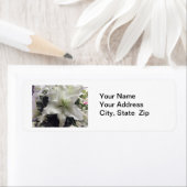 Casablanca Lily Flower Retouradres label (Insitu)