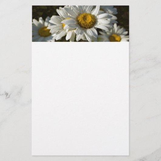 Casacy Daisy Stationery Briefpapier (Voorkant)