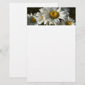 Casacy Daisy Stationery Briefpapier (Voorkant / Achterkant)