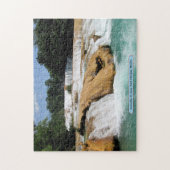 Cascadas de Agua Azul, Chiapas, Mexico Legpuzzel (Verticaal)