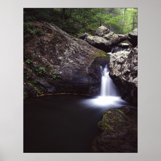 Cascade aan de Roos Poster (Voorkant)