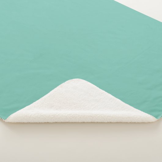 Cascade Aqua Green Solid Color Print Sherpa Deken (3/4)