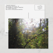 cascade-berg briefkaart (Voorkant / Achterkant)