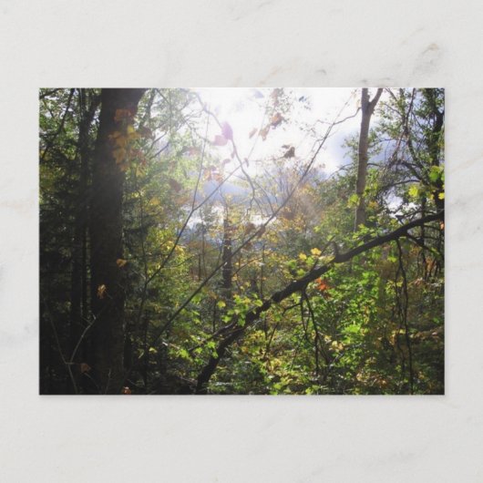 cascade-berg briefkaart (Voorkant)