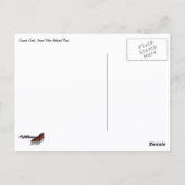 Cascade Creek at Grand Teton Briefkaart (Achterkant)