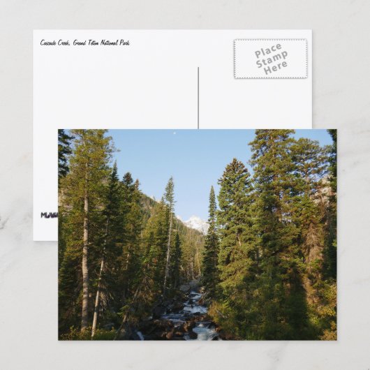 Cascade Creek at Grand Teton Briefkaart (Voorkant / Achterkant)