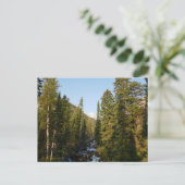 Cascade Creek bij Grand Teton Briefkaart (Staand voorkant)