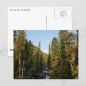 Cascade Creek bij Grand Teton Briefkaart (Voorkant / Achterkant)