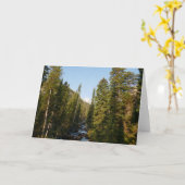 Cascade Creek bij Grand Teton Kaart (Gele Bloem)