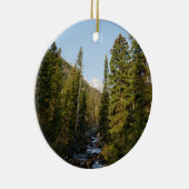 Cascade Creek bij Grand Teton Keramisch Ornament (Rechts)