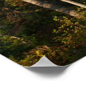 Cascade Creek bij Grand Teton Poster (Hoek)