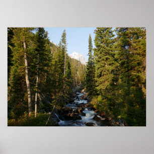 Cascade Creek bij Grand Teton Poster