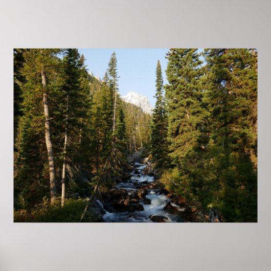 Cascade Creek bij Grand Teton Poster (Voorkant)