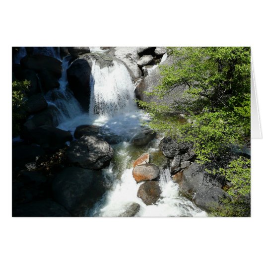 Cascade Falls in Yosemite National Park (Voorkant Horizontaal)