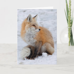 Cascade Fox in sneeuw Feestdagen Kaart