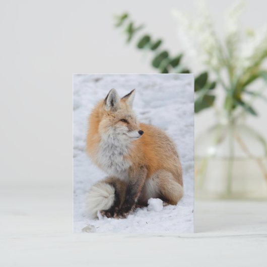 Cascade Fox in Sneeuw Feestdagenkaart (Staand voorkant)
