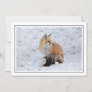 Cascade Fox in sneeuw Feestdagenkaart