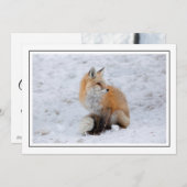Cascade Fox in Sneeuw Feestdagenkaart (Voorkant / Achterkant)