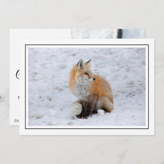 Cascade Fox in Sneeuw Feestdagenkaart (Voorkant / Achterkant)