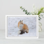 Cascade Fox in Sneeuw Feestdagenkaart (Staand voorkant)
