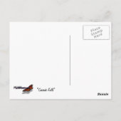 Cascade-Herfsten in het Nationaal Park Yosemite Briefkaart (Achterkant)