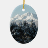 Cascade Holiday Keramisch Ornament (Voorkant)