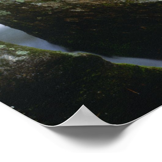 Cascade in Cosby Poster (Hoek)