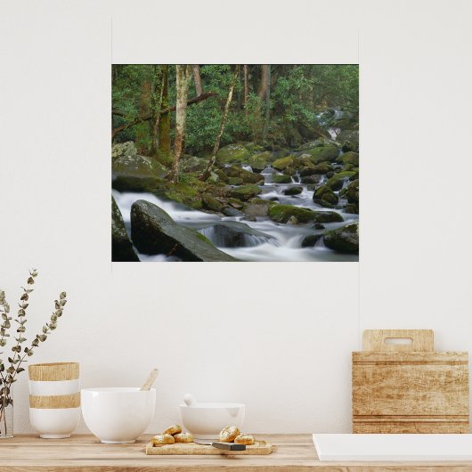 Cascade in Cosby Poster (Keuken)