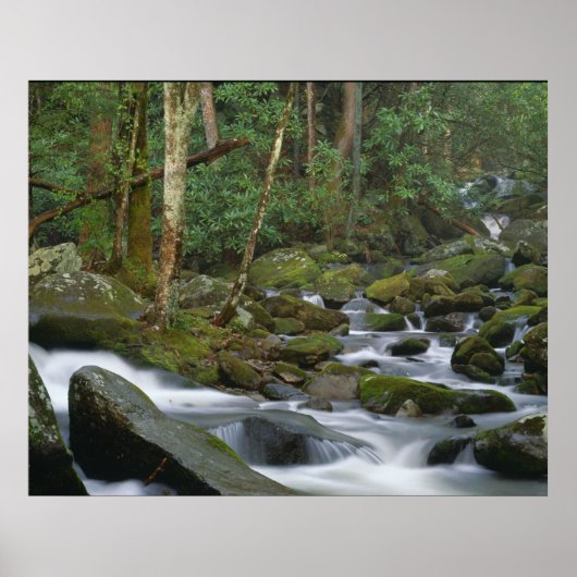 Cascade in Cosby Poster (Voorkant)