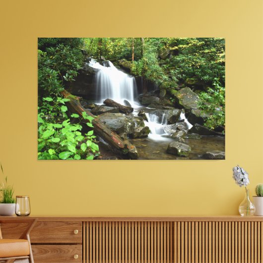 Cascade in Smoky Mountain National Park Canvas Afdruk (Insitu (Woonkamer))