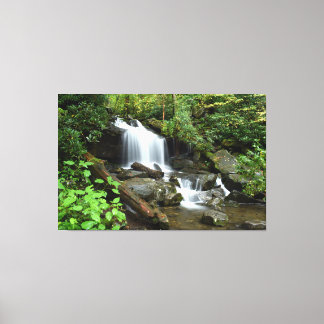 Cascade in Smoky Mountain National Park Canvas Afdruk